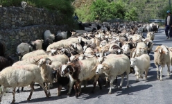 सिनर्जी  एफ एम ९१.६ मेघाहर्ज