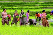 सिनर्जी  एफ एम ९१.६ मेघाहर्ज