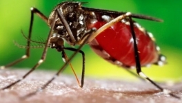 सिनर्जी  एफ एम ९१.६ मेघाहर्ज