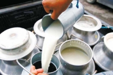 सिनर्जी  एफ एम ९१.६ मेघाहर्ज