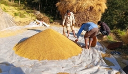 सिनर्जी  एफ एम ९१.६ मेघाहर्ज